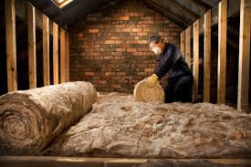 Best Eco-Friendly or Green Insulation Solutions  in Dewitt, AR